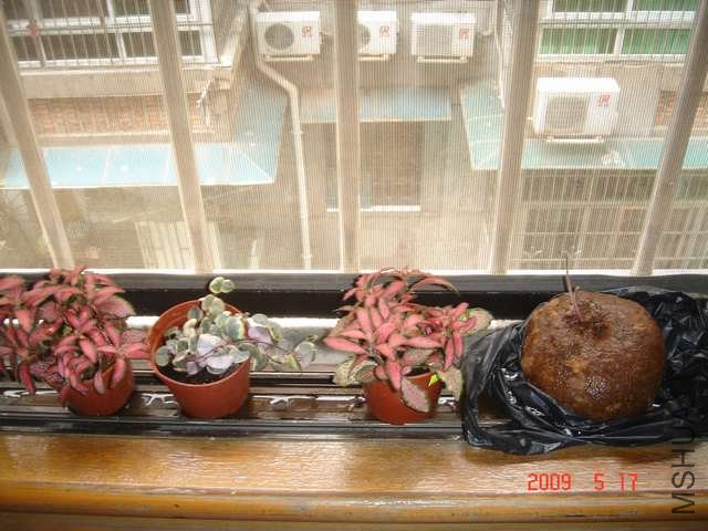 DSC02464.JPG