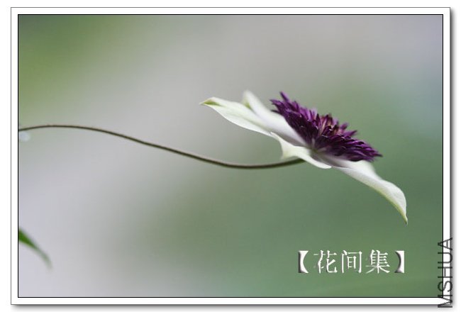 IMG_6007 ����.jpg