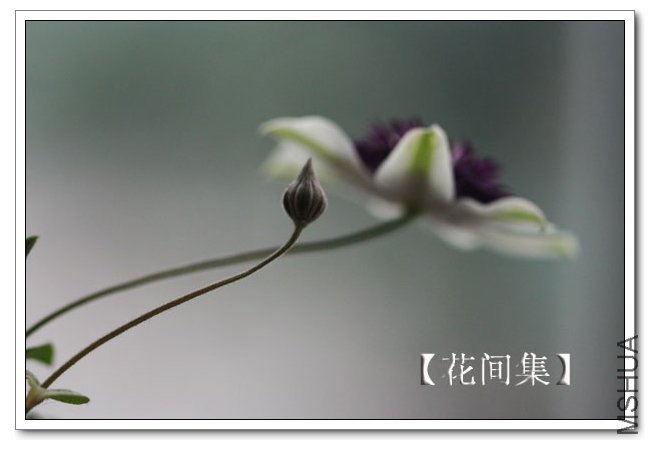 IMG_6011 ����.jpg