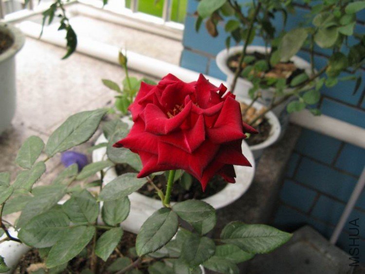 ������С ��Ƭ 030.jpg