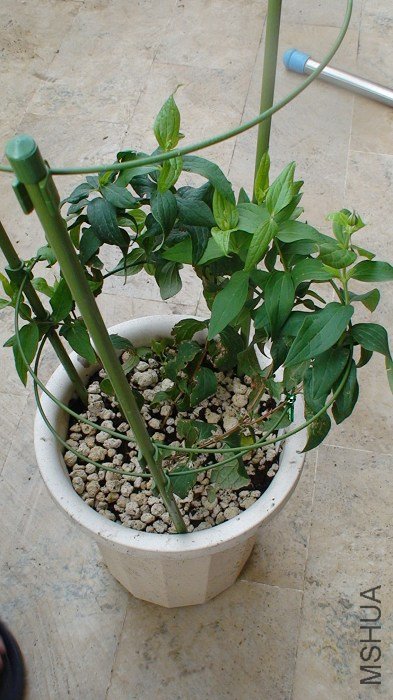 ȫ���տ�����