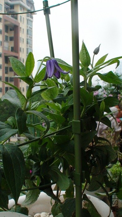 ���ǽ���ȫ������ӡ�������������ʮ���ܿ�����! ÿ�����̵�С���ﶼ����һ��������!