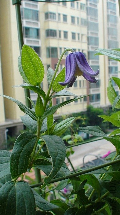 �����ӿ������������С������