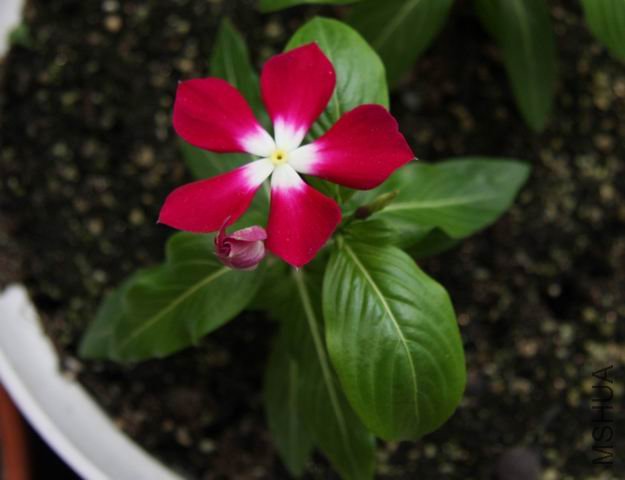 ������С ��Ƭ 1525a.jpg