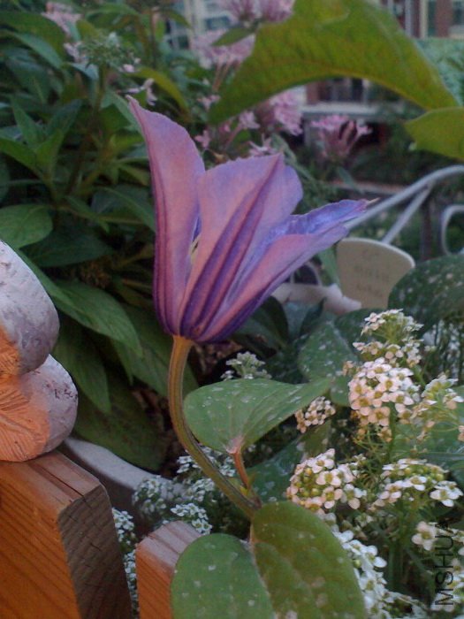 ����ʱ��, ���ƺ�Ҳ������һЩ��, ���������ر�Ҳ�����ˣ�