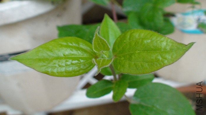 5-29��, ��ѿ�������, �����������»�����!