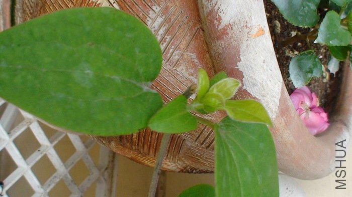 5-25��, ����дһ��: �����ҶҸ������ð������ѿ��!