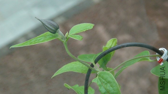 ��������Ķ���������Ҳ�Ѿ���ɫ������Ҳ������������ܿ������ˣ�