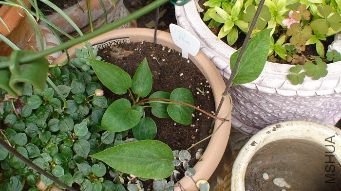 4-29��, �ְ�����ǿ����!