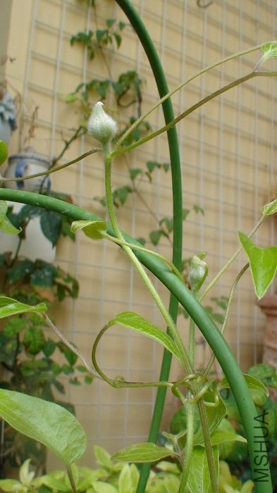 5-26�յĻ�����д!