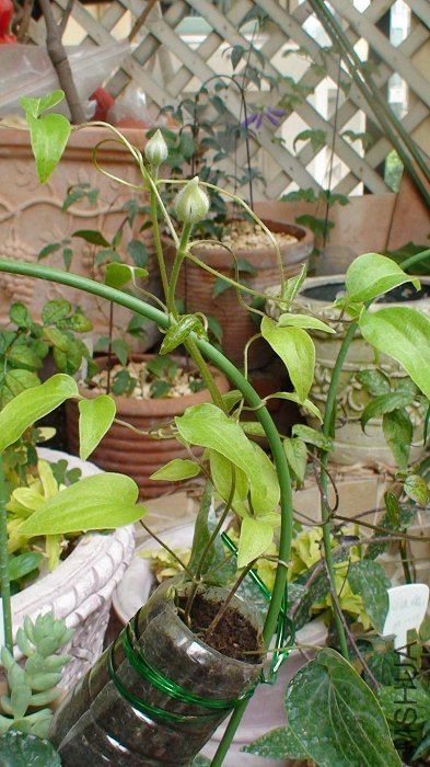 5-30��, �����ѿ�, �ֿ�Ҫ������!