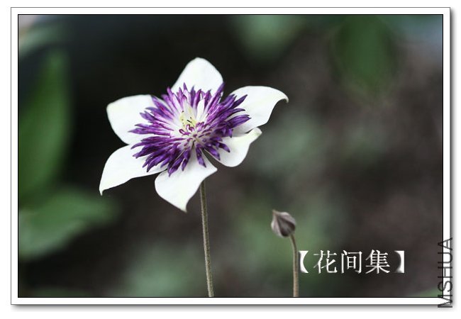 IMG_6009 ����.jpg