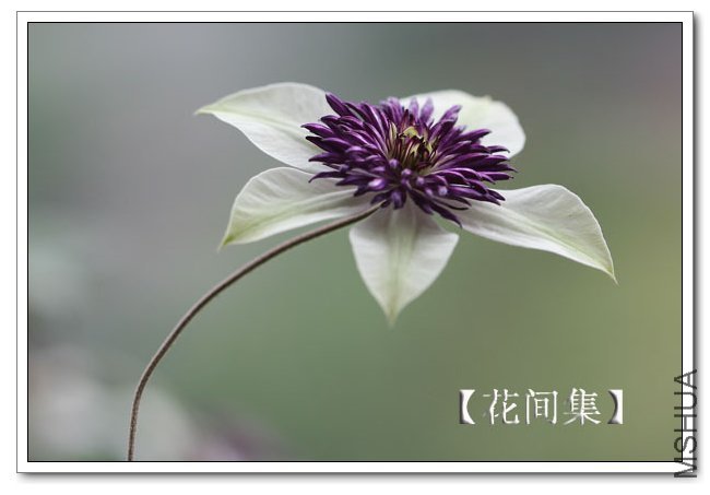 IMG_6249 ����.jpg