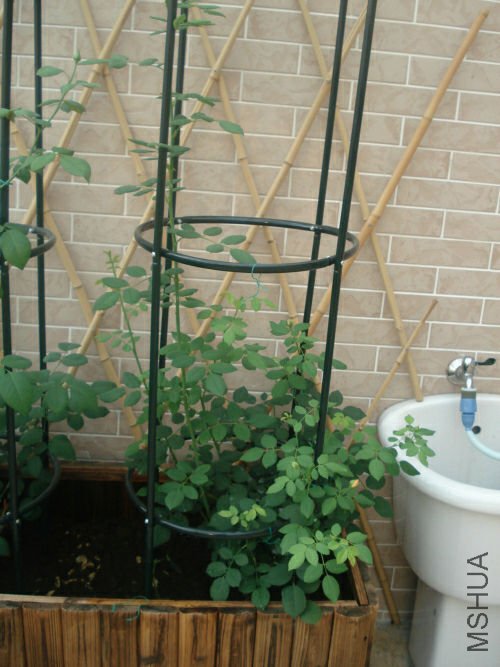 ��һ����ѿ���ñ����˻��ߣ����ڼ�������������������С���ٱ���Ǳ��