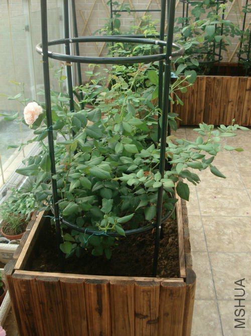 �Ų����в��ٻ�����