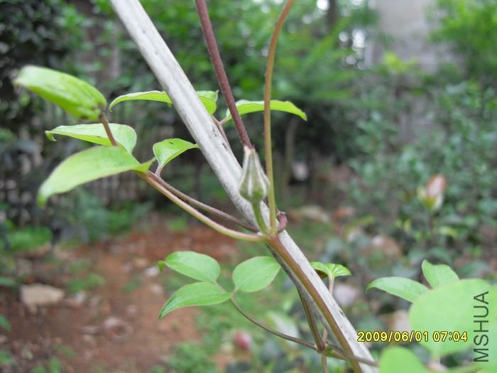 SDC10550.JPG