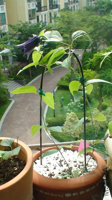 ������ʵ�Ǻܰ��ģ���ô��Ҳ�ܿ����˻���˵�����Ʒ����ĺ�ǿ����