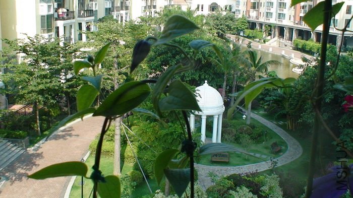 6-1�յĶ�������������ĵĻ�������̫����������������Գ����˺ܶࡣ