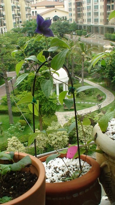 Ϊ�˿������㣬�Ҹ���ת�˸��������;ͺÿ����ˡ�