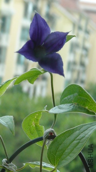 �������һ�Űɣ�