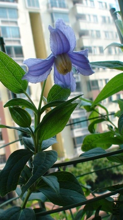 6-2��, �����ڶ���ĵ�������