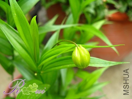 ���ưٺ� 10.jpg