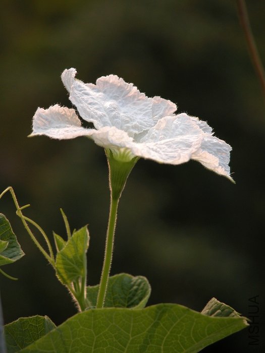 DSCN0034.jpg