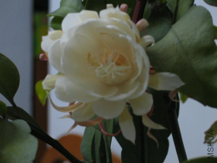 2009-5-20 002.jpg