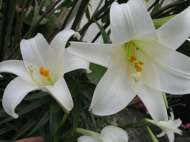 2009-4-23 053.jpg