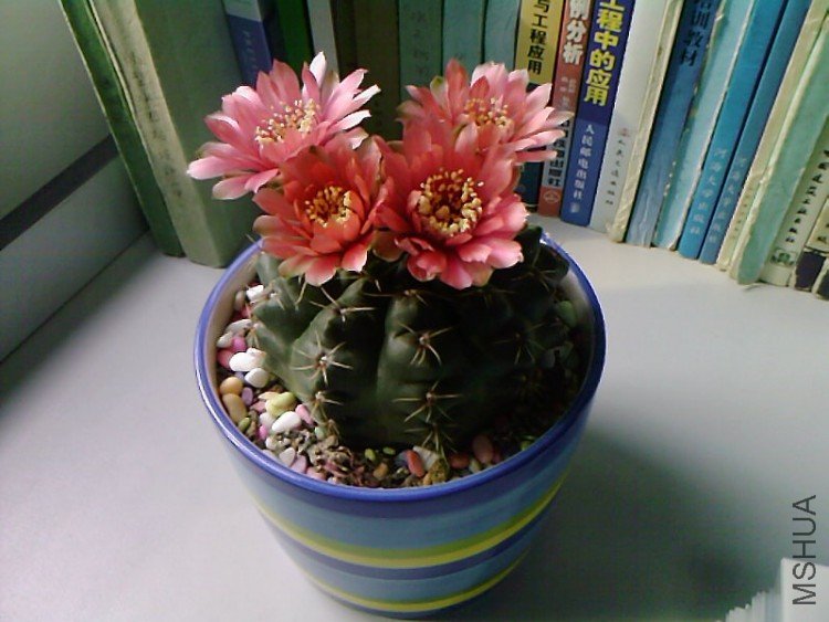 ��Ƭ-0402.jpg