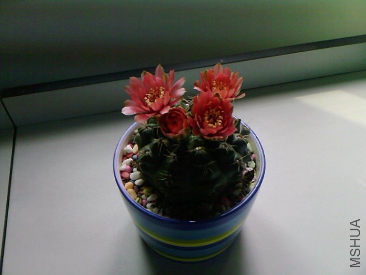 ��Ƭ-0400.jpg