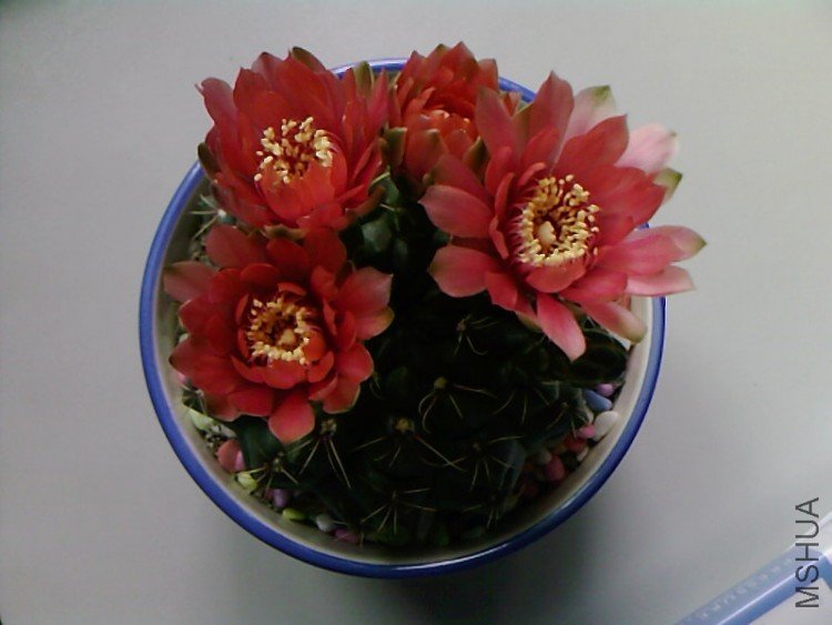 ��Ƭ-0399.jpg