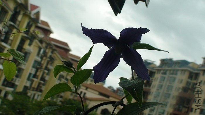 ����Ĳ�������������