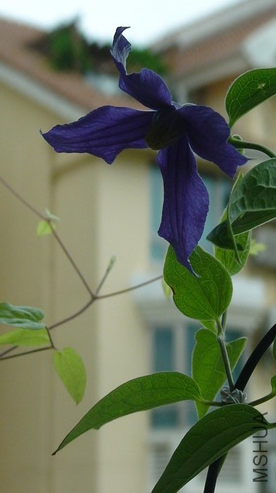 ����Ƕ�Ҳϲ����