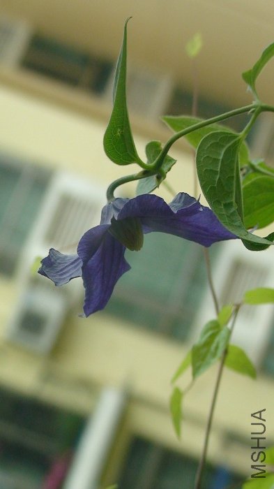 ���ߵ�����Ҳ���ˡ�