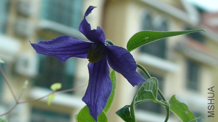 6-3�գ����죬Ҳ�ǿ����ĵڶ��죬�������ڿ�ȫ����