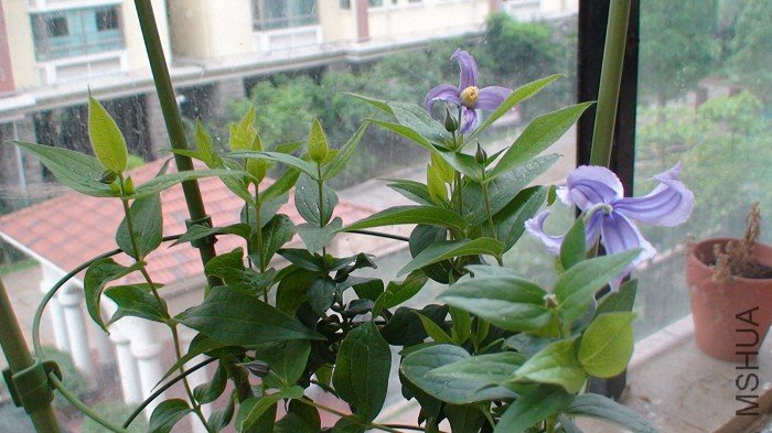 ����Ҷ����ȫ�������кö�Ļ�������