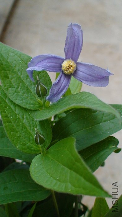 ���������հɡ�