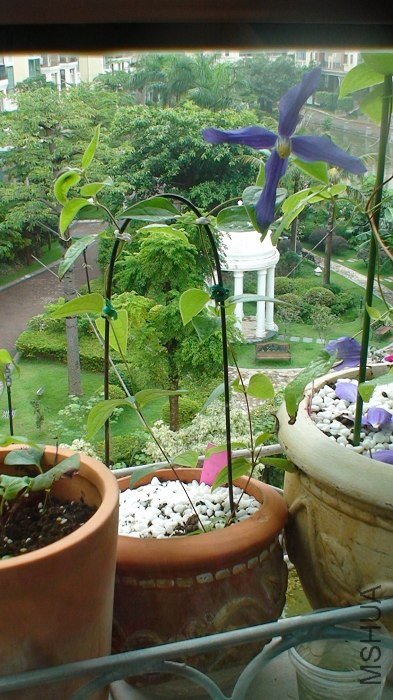 ȫ���տ��Կ�������ֲ����ȣ��������ǲ���С����