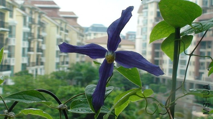 6-4�գ����죬�����ĵ����죬���꿪ʼ�������Եø���С�ġ�