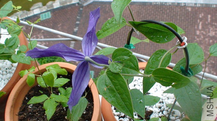 ������Ӱ�ɣ�������Ҳ�ܲ�һ���ˣ�