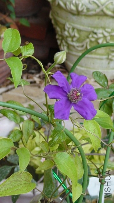 6-4�գ�����һ�磬��������