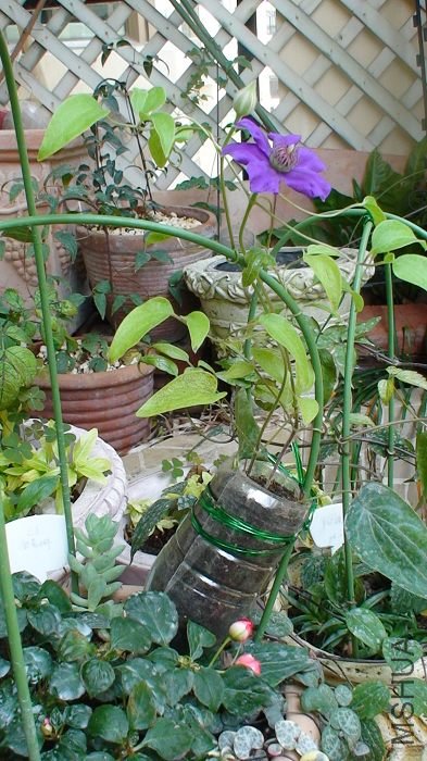 ���Ȫˮƿ�Ա�һ�£���֪�������ϴε�С������������10.5cm��