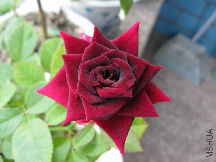 ������С ��Ƭ 033.jpg
