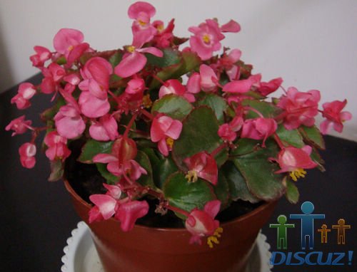 ����С���ģ��������µز�֪ƣ��ؿ�