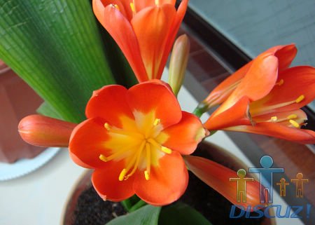 ���������Ҽҵ���ס��������Ӧʱչ��