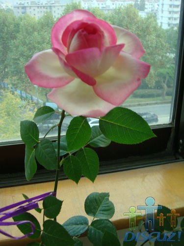 DSC00480.JPG