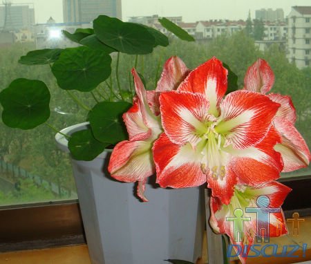 ʢ�������졢���̵�С���Ǿ��õĴ��䡣
