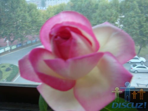���쿪��һ�乫���������ڴ������·���