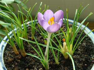 DSC00728.JPG